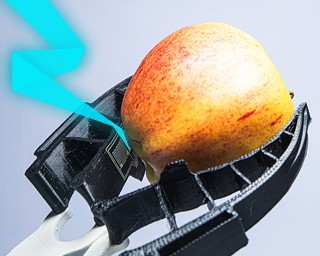 Robotergreifer mit haptischen Fähigkeiten können Äpfel und anderes Obst künftig schonender fassen und sortieren. Dabei passt sich der im Projekt BioGrip entwickelte Greifer der Apfelform an.